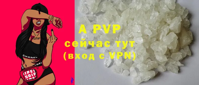 APVP СК КРИС  блэк спрут   Алупка 